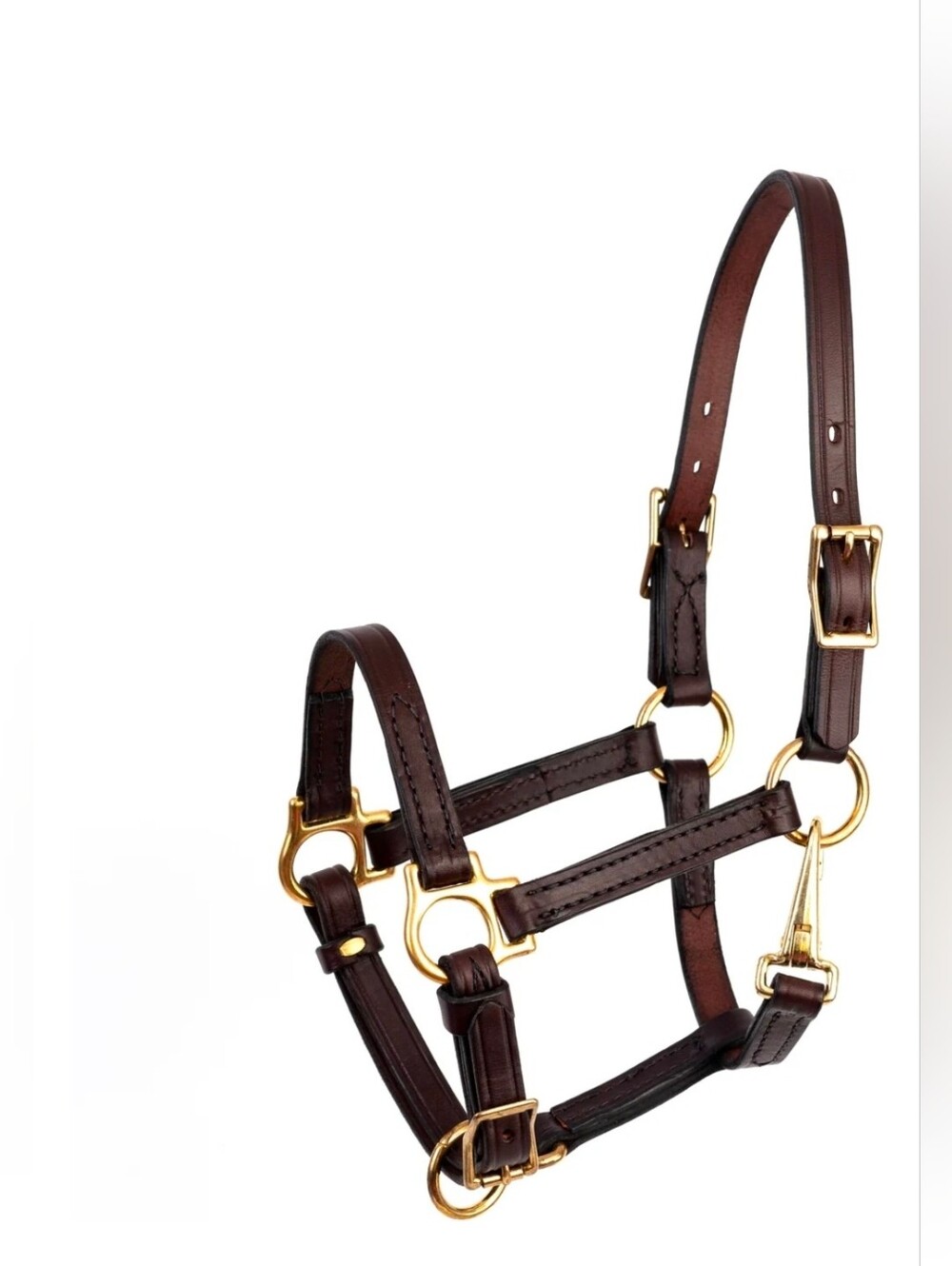 Perri's Leather Horse Halter in Dark Brown with Gold Hardware